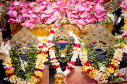 Daily Darshan