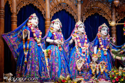 Daily Darshan
