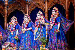 Daily Darshan