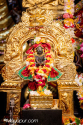 Daily Darshan