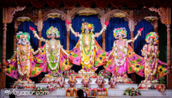 Daily Darshan