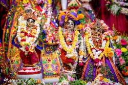Daily Darshan