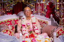 Daily Darshan