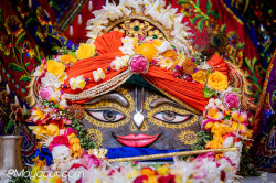Daily Darshan