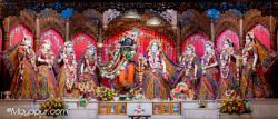 Daily Darshan