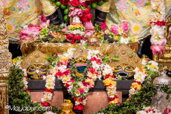 Daily Darshan