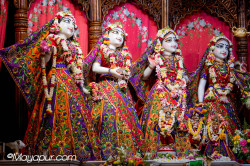 Daily Darshan