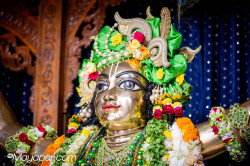 Daily Darshan