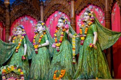 Daily Darshan