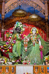 Daily Darshan