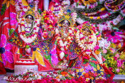 Daily Darshan