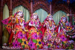 Daily Darshan