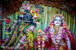 Daily Darshan