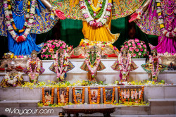 Daily Darshan