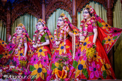 Daily Darshan