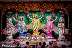 Daily Darshan