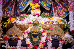 Daily Darshan