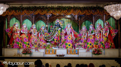Daily Darshan