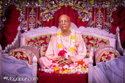 Daily Darshan