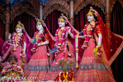 Daily Darshan
