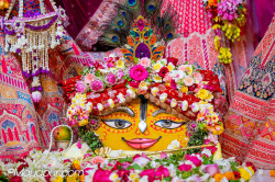 Daily Darshan