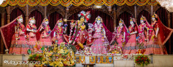 Daily Darshan