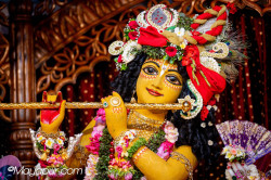 Daily Darshan