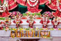 Daily Darshan