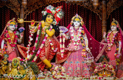 Daily Darshan