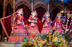 Daily Darshan