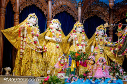 Daily Darshan