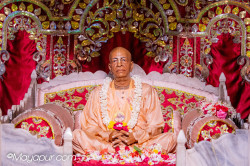 Daily Darshan