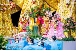 Daily Darshan