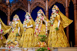 Daily Darshan