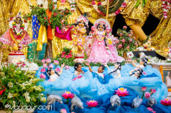 Daily Darshan