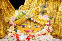 Daily Darshan