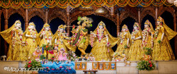 Daily Darshan