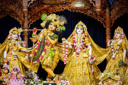 Daily Darshan