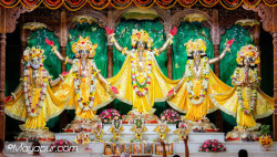 Daily Darshan