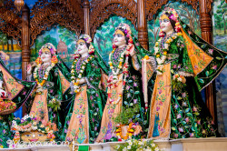 Daily Darshan