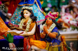 Daily Darshan