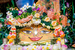 Daily Darshan