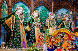 Daily Darshan