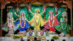 Daily Darshan
