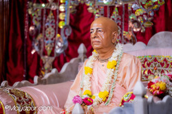 Daily Darshan