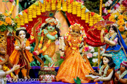 Daily Darshan