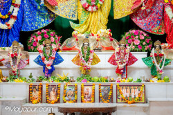Daily Darshan