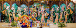 Daily Darshan