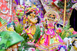 Daily Darshan