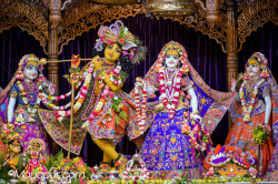 Daily Darshan